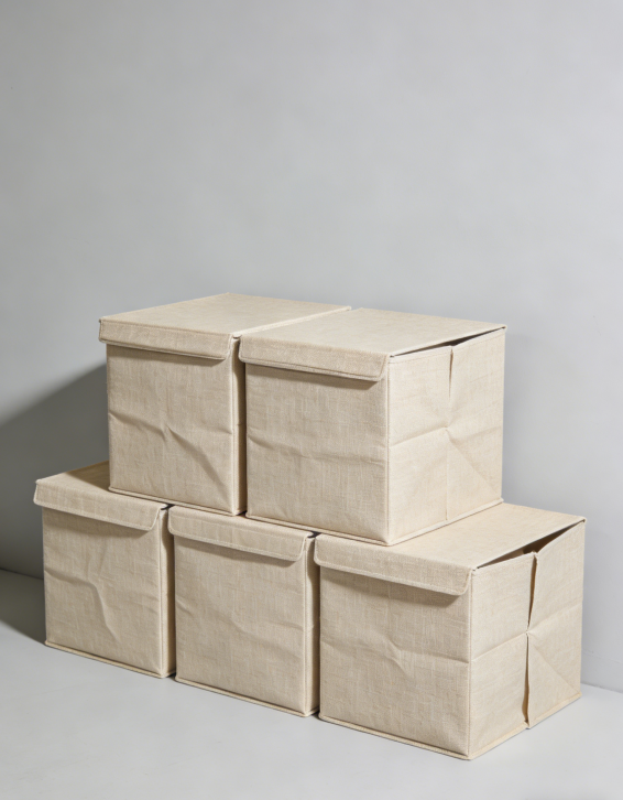 Extra Large Foldable Linen Storage Box with Lid (5-Pack), 22.8x15.75x13.8 inches, Cube Storage Basket